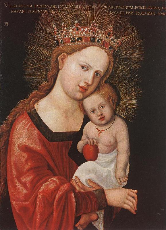 ALTDORFER, Albrecht Mary with the Child  kkk oil painting image